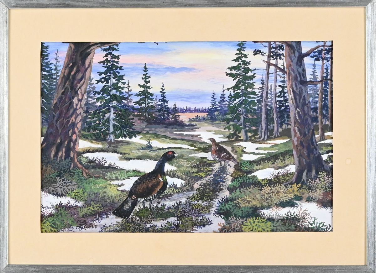 Gouache "Tjäderspel", signerad Persson på auktion i Luleå, Norrbottens län hos Luleå Auktionsverk